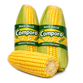 Maíz dulce Comporo