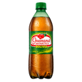 Refresco Guaraná Antarctica Bolivia